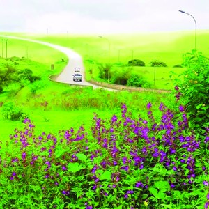 سلطنة عُمان | مع بدء موسم الصرب بمحافظة ظفار..تتحول ملامح الطقس ويتجلى جمال الطبيعة