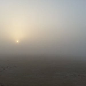 ليلة الخميس/الجُمعة: أجواء رطبة مُقبلة على أبوظبي والمناطق الغربية وفُرصة لتشكُّل الضباب