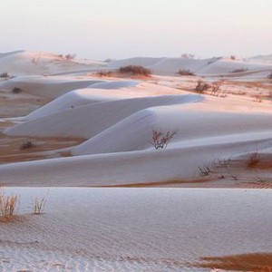 الرياض | تنبيه من البرودة القارسة خلال الـ 48 ساعة القادمة واحتمالية لتشكل الصقيع ليلاً 