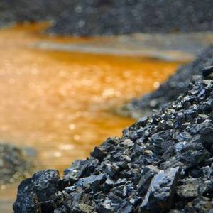 ابتكار تقنية جديدة لاستخراج المعادن من النباتات