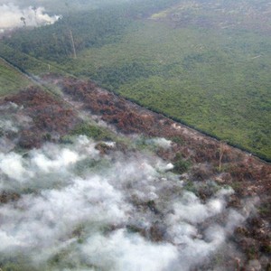 الطوارىء الروسية: انقاذ 1500 إندونيسيا من حرائق هائلة اندلعت بـ12 بلدة