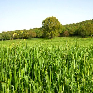 ارتفاع تدريجي على درجات الحرارة خلال الأيّام القادمة وأجواء مُستقرّة 