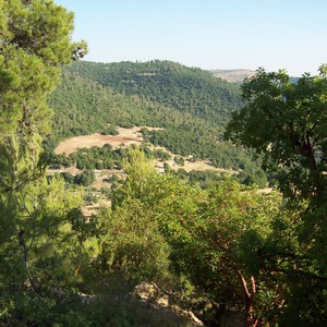 طقس نهاية الأسبوع... أجواء صيفية معتدلة مناسبة للرحلات