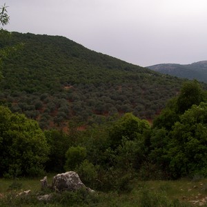 مناخ الأردن.. خصائص مميزة ومزيج متنوع