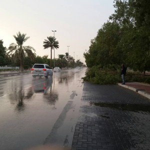 تساقُط زخات رعدية من المطر على مدينة العين وما حولها