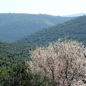 ارتفاع تدريجي على درجات الحرارة خلال الأيام القادمة
