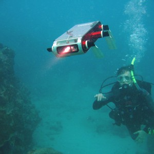 قريباً .. روبوتات تسبح في سواحل الهند للتنبؤ بالأمطار