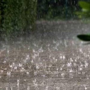 مأدبا: معدل غزارة الأمطار الهاطلة مساء اليوم مُرتفع للغاية و بلغ 126 ملم/ساعة فقط!