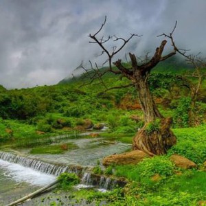 النشرة الأسبوعية - عُمان: درجات حرارة أقل من مُعدلاتها المُعتادة و نشاط واضح لخريف ظفار مُترافق بهطول أمطار مُتفرقة خلال الأسبوع الحالي