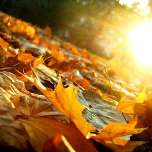 مؤشرات على مُنخفض مُبكر قد يؤثر على البلاد نهاية الشهر وعدة سيناريوهات مُحتملة  