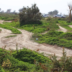 حالة الطقس المتوقعة في مختلف مُدن المملكة ليوم الثلاثاء 22/1/2019 