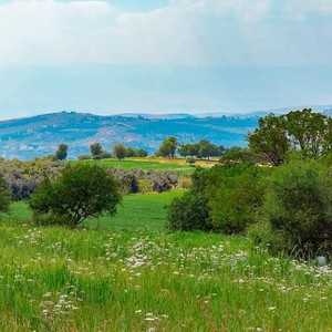 يوم السبت .. ارتفاع آخر على درجات الحرارة مع أجواء دافئة بشكل عام  