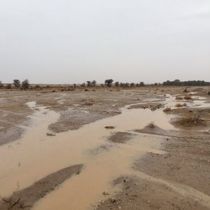 الأمطار تهطل بعدة محافظات في حائل