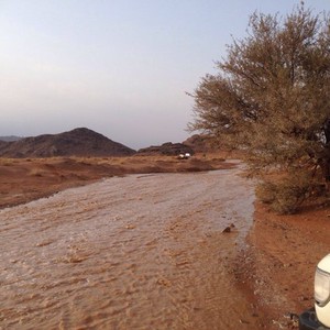 الأمطار تهطل علی حائل 