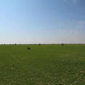 صور من روضة نورة الخضراء شمال الرياض و كيفية الوصول إليها