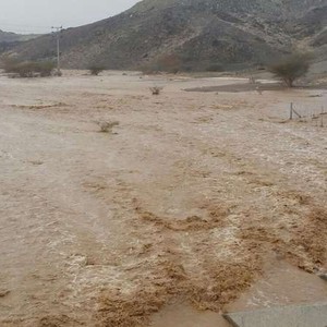 الأمطار تعود للمدينة المنورة .. صور وفيديو