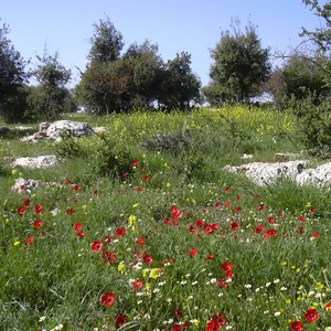 استمرار الأجواء الحارة نسبياً يوم الجمعة في المملكة
