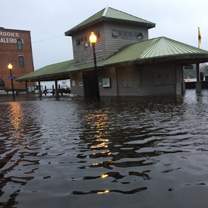 إعصار ماثيو يخلف مئات القتلى في هايتي و10 في الولايات المتحدة