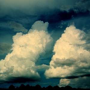 طقس نهاية الاسبوع : زخات رعدية من المطر متوقعة في شمال ووسط البلاد  