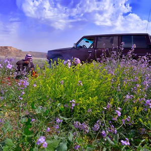 السعودية | طقس مستقر ومناسب للرحلات والكشتات يومي الجمعة والسبت 