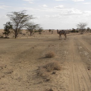 الكويت | ارتفاع على درجات الحرارة الإثنين وفرصة لزخات رعدية من المطر على بعض المناطق