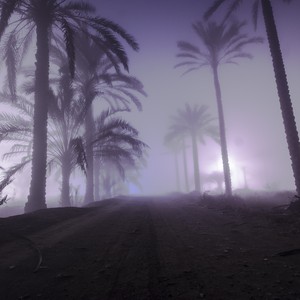 سلطنة عُمان | استمرار تشكل الضباب خلال الاسبوع الحالي على مناطق مختلفة من السلطنة