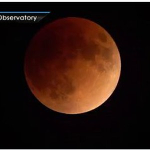 Association of the Moroccan Initiative for Science and Thought: The blue moon eclipse reaches its climax