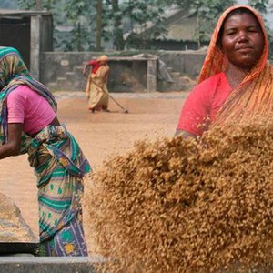 النساء يتحدين التغير المناخي في بنغلاديش