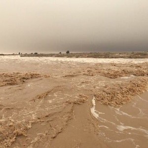 بالصور.. ملخص لما أحدثته الحالة الجوية "عاصفة" خلال الأيام الماضية