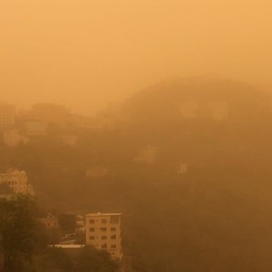 شاهد | بداية قوية لموسم الغبرة في جازان وسط استنفار للجهات المعنية   