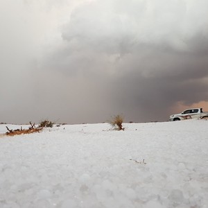 تحديث 6:00م | أمطار رعدية متوقعة على القصيم خلال الساعة القادمة 