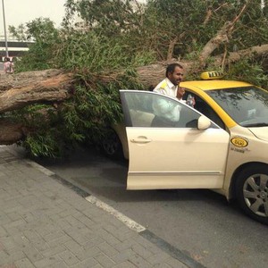 يوم 19 فبراير كان الأكثر حرارة على الإمارات هذا الشهر