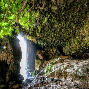 عيون موسى في مادبا.. لقاء مع الطبيعة الساحرة وفوائد المياه العذبة