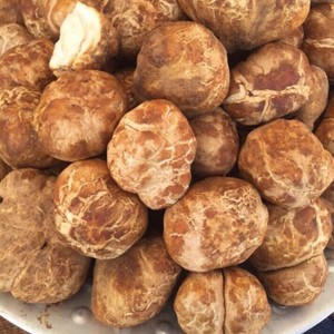 The truffle or the truffle and its close association with entering the hashtag.. the full story