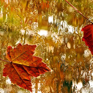 الأردن | النشرة الفصلية لخريف 2023م: نشاط تدريجي على الحالات الجوية الماطرة وارتفاع فرص تشكل السيول في بعض المناطق