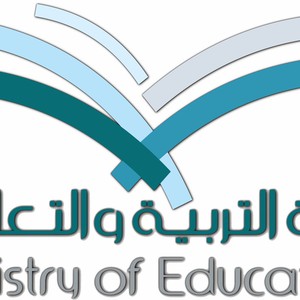 إيقاف العمل بمدارس نجران و"الخطوط" توقف رحلاتها من و إلى المنطقة