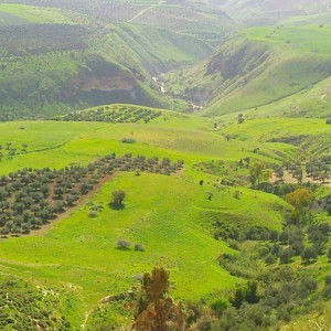أفضل الأماكن لزيارتها في الأردن خلال فصل الربيع