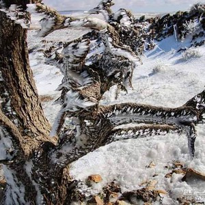 الأردن | عودة الاستقرار على الطقس الخميس، وموجة صقيع وانجماد واسعة صباحاً