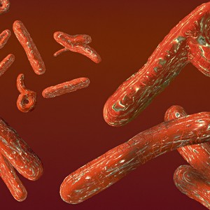 هام .. تسجيل أول حالة وفاة عربية بسبب فيروس إيبولا في السعودية