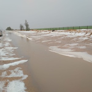 بالفيديو | عطاء تشتد في يومها الأخير والبرديات تغطي أجزاء واسعة من حائل والقصيم