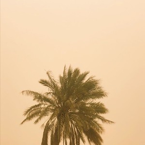 البحرين | تنبيه هام لمستخدمي الطرق ومرتادي البحر في ظل تدني مدى الرؤية الأفقية