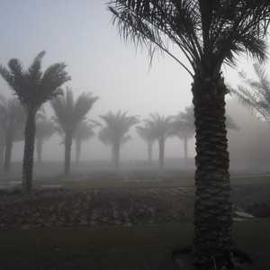 الثلاثاء: أجواء مستقرة وخطر تشكل الضباب فجراً وليلاً