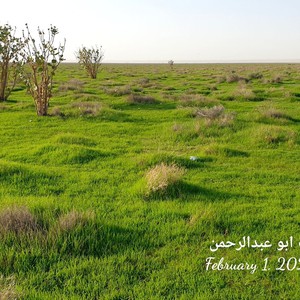 مكشات | روضة نورة ..أحب الوجهات لسكان الرياض والقصيم