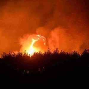 حرائق مستعرة تلتهم الغابات في ولاية إزمير التركية