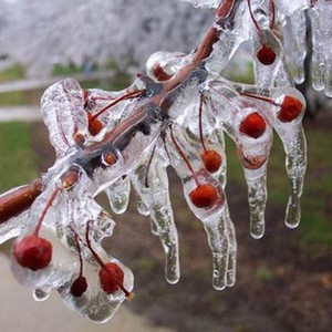 السعودية | البرودة الشديدة مستمرة حتى الثلاثاء والتنبيه من الخروج للبر لايزال قائم 