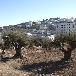 درجات الحرارة لن تتجاوز مُعدلاتها السنوية هذا الأسبوع .. 