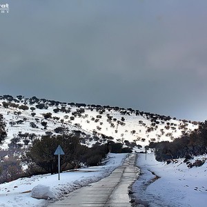من جديد.. الثلوج تزور جبال الشراه بدءاً من مساء السبت