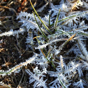 نوفمبر الابرد منذ 2011 و قرابة الصفر المئوي على حائل وطريف