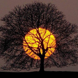 ماذا ينتظرنا بعد هذه الأجواء الباردة المُفاجئة والقياسية؟