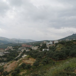 "بشرى" تغادر المملكة الجمعة مع بقاء الأجواء باردة 